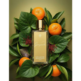 عطر گرمی مارک آنتونی گانیمد
