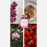 عطر گرمی ویکتوریا سکرت زنانه