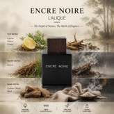 عطر گرمی مردانه لالیک بلک