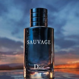 عطر گرمی ساواج دایور مردانه