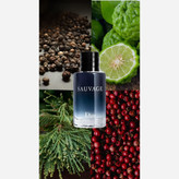 عطر گرمی ساواج دایور مردانه