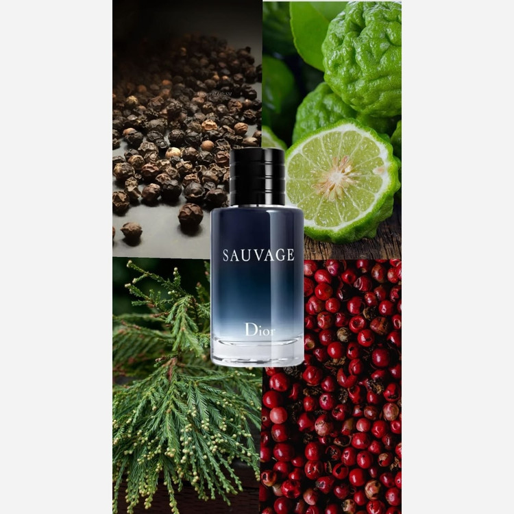 عطر گرمی ساواج دایور مردانه